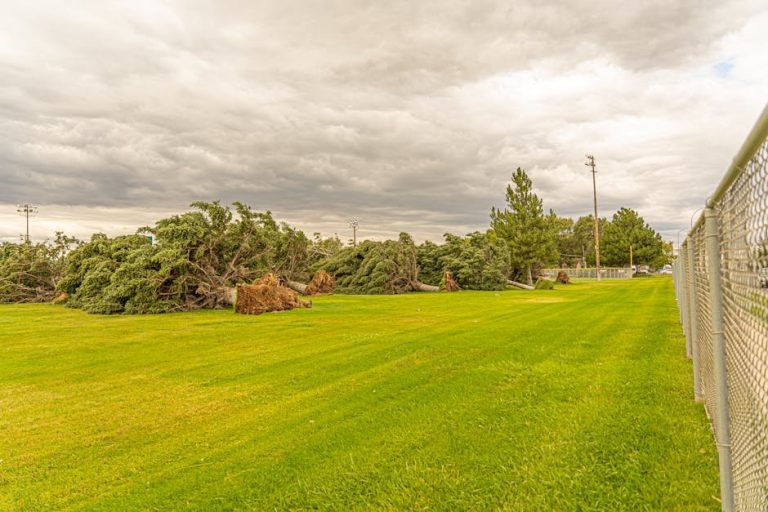 Alexandria roof replacement — asphalt shingle residential roofing